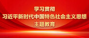 使劲狂喷在线播放学习贯彻习近平新时代中国特色社会主义思想主题教育_fororder_ad-371X160(2)